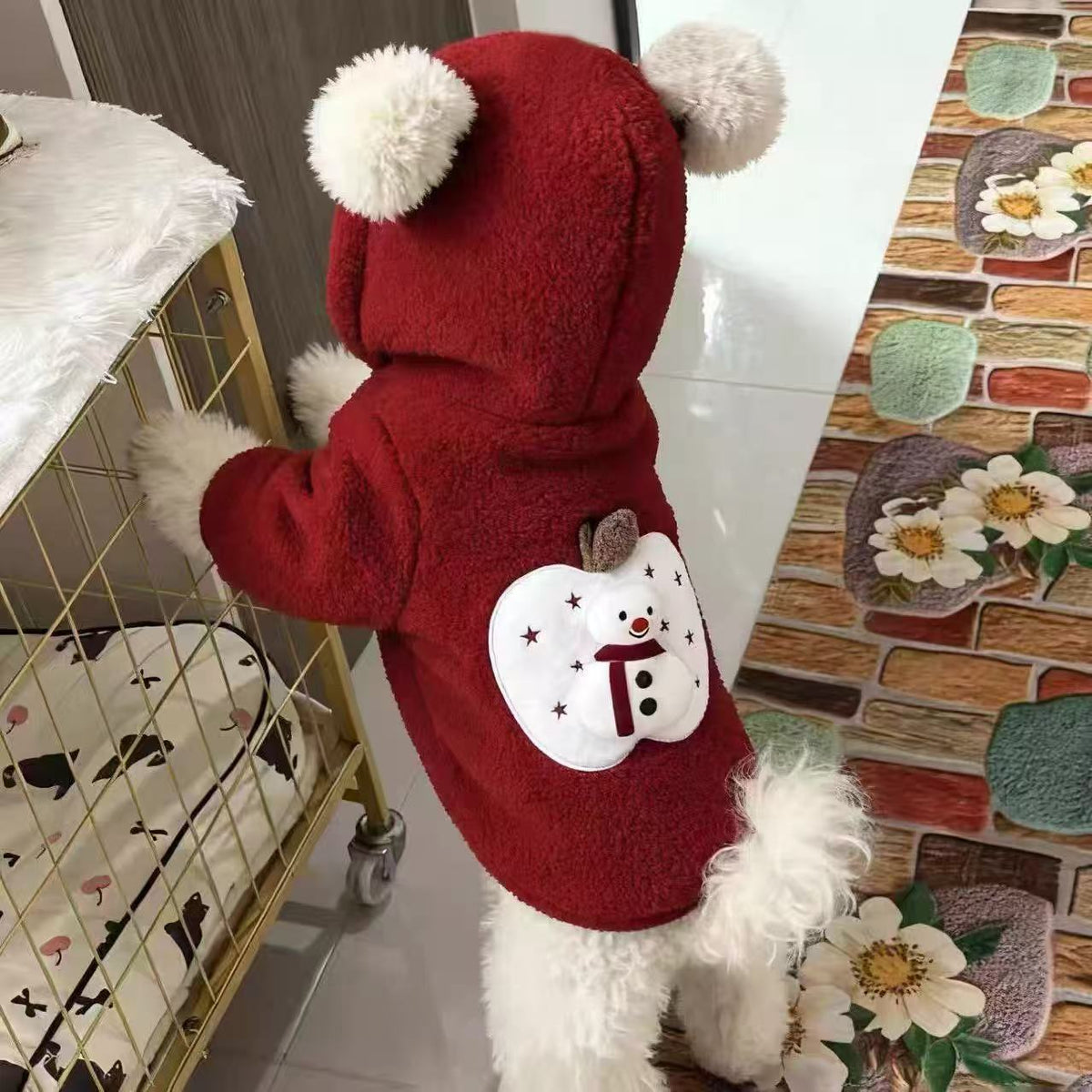 Pet Jacket