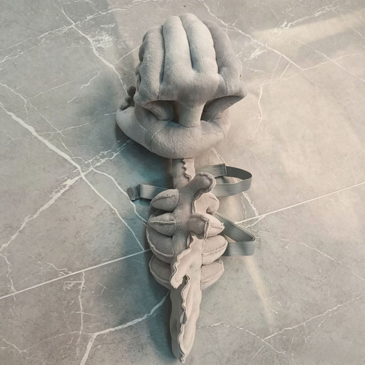 Pet Dinosaur Skeleton