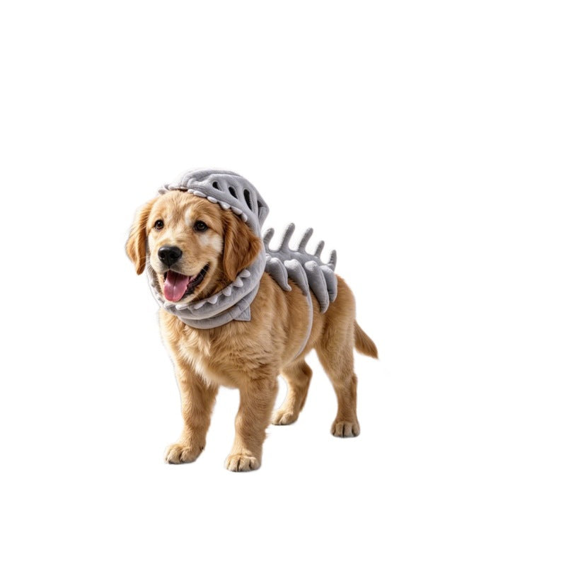 Pet Dinosaur Skeleton