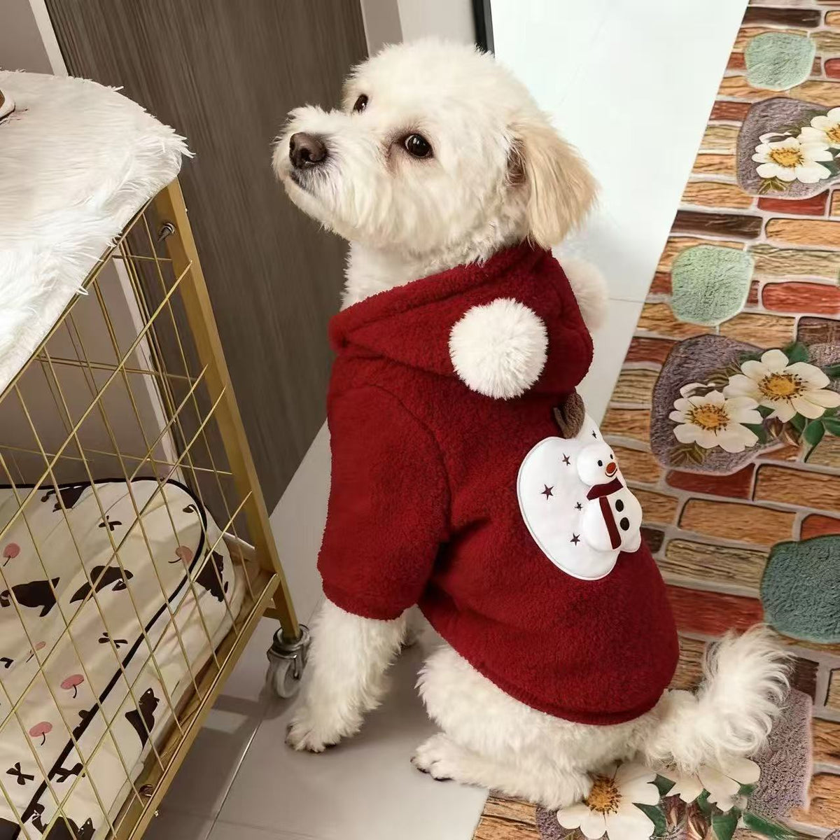 Pet Jacket