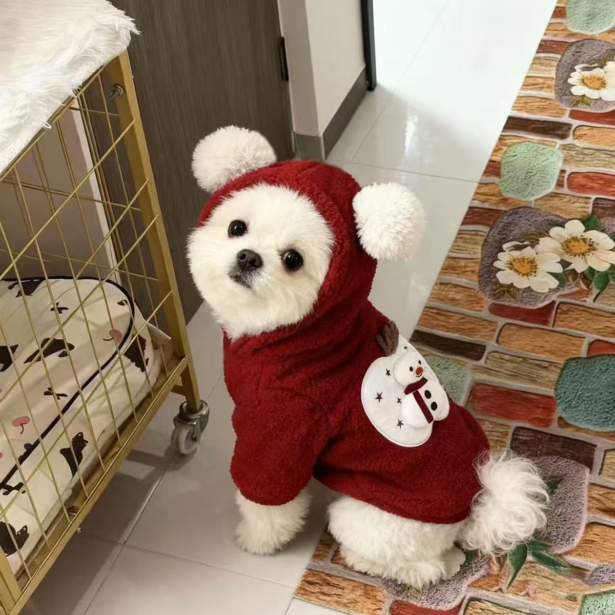 Pet Jacket